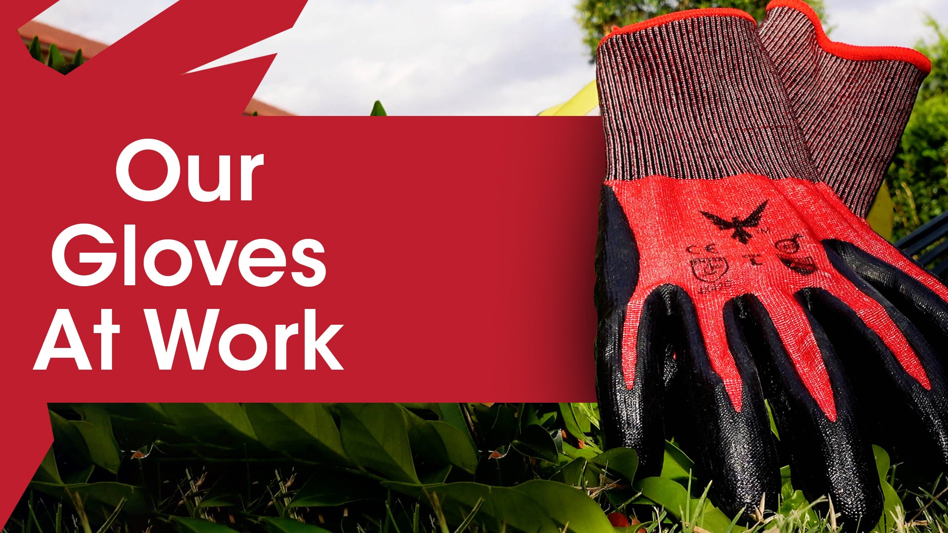 Cut Resistant Work Gloves – Horus Works